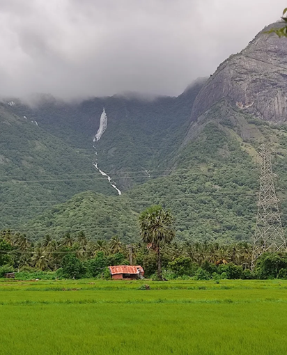 Seetharkundu valley foothill views near Kollengode Palakkad