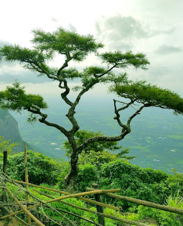 Meenampara viewpoint scenic vista near Kollengode Palakkad Kerala