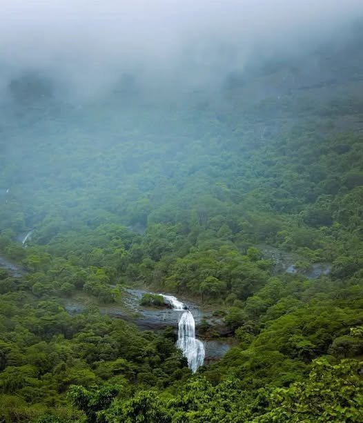 Vellarimedu Waterfalls - cascading falls through Western Ghats forest, Kollengode, Palakkad, Kerala